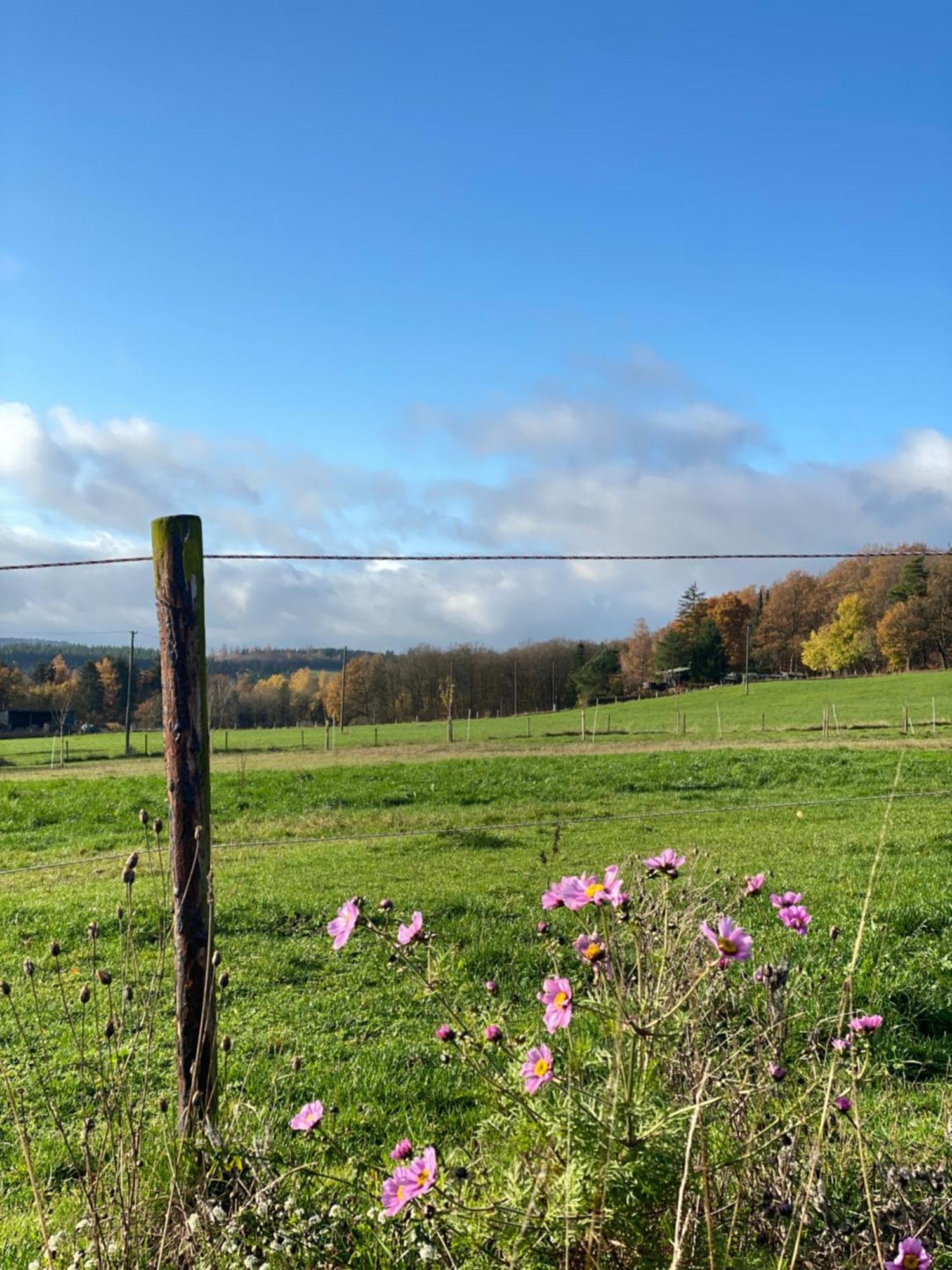 Eifel Ferienhaus Luna Ohlenhard Buitenkant foto