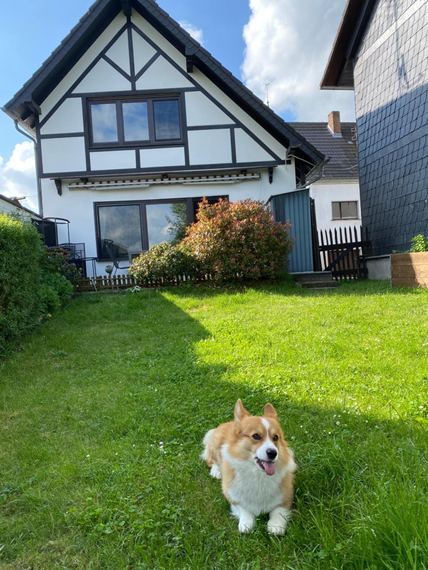 Eifel Ferienhaus Luna Ohlenhard Buitenkant foto
