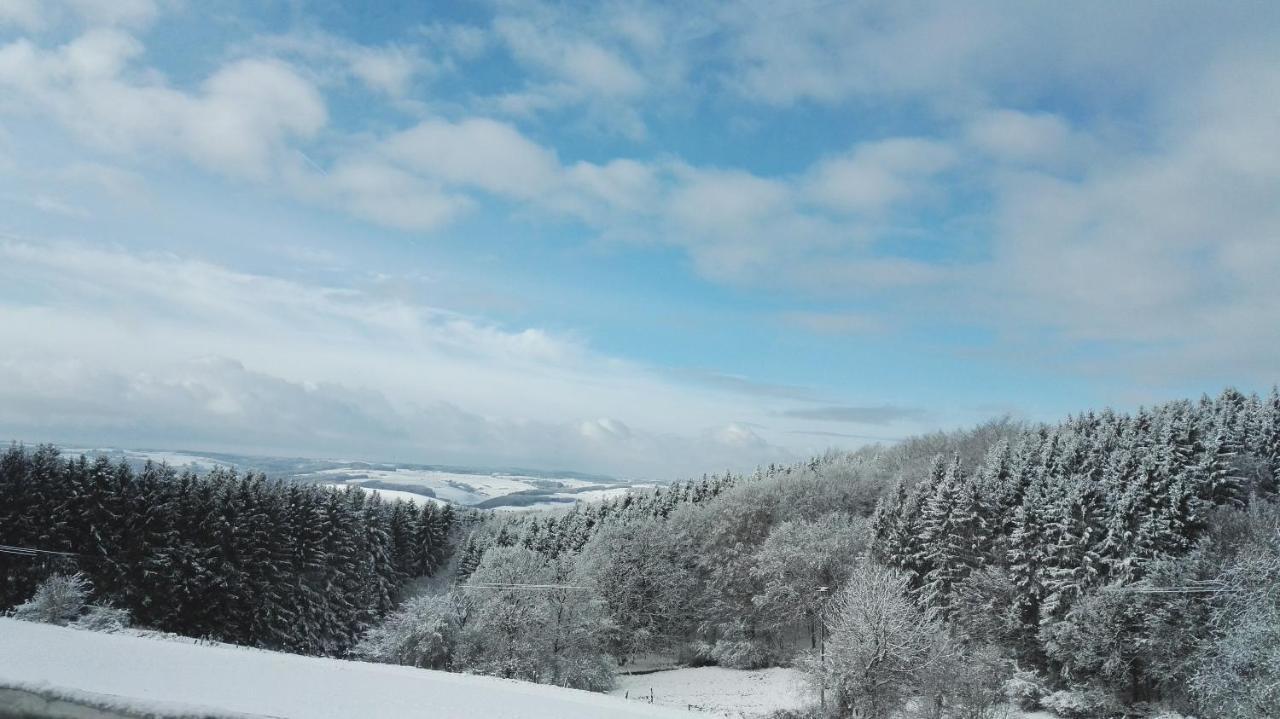 Eifel Ferienhaus Luna Ohlenhard Buitenkant foto
